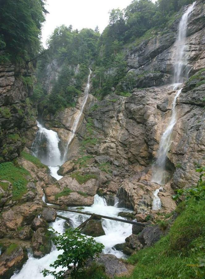 Sportpension Schober Obertraun Exteriér fotografie