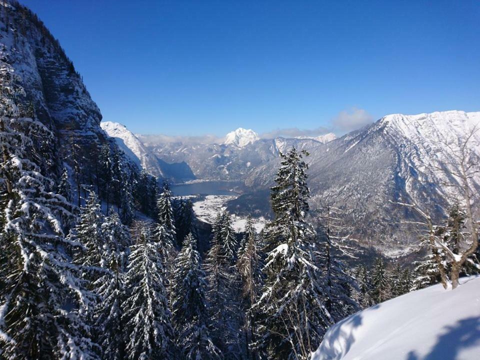 Sportpension Schober Obertraun Exteriér fotografie